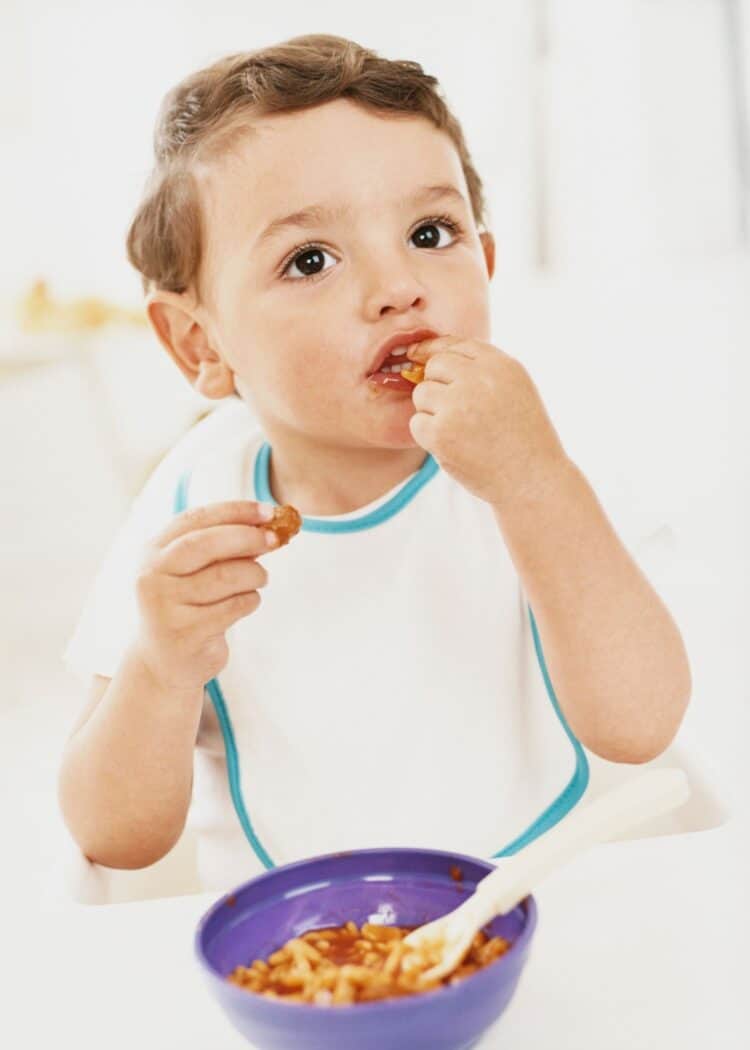 Boy eating lunch