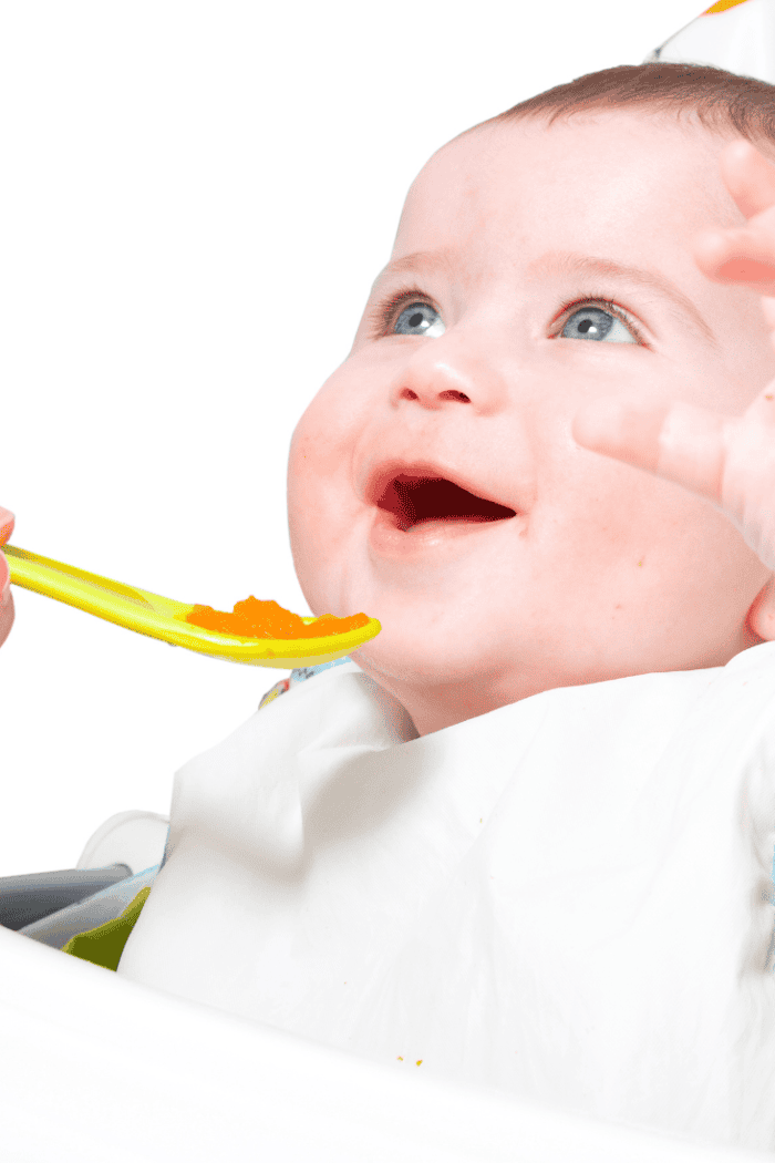 11 Simple Stage One Baby Puree Recipes