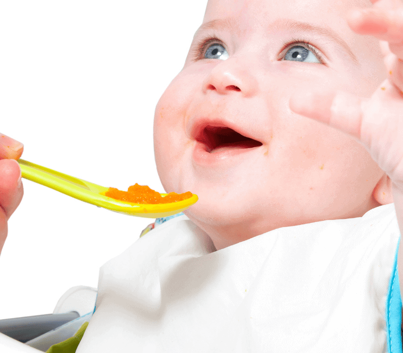 11 Simple Stage One Baby Puree Recipes